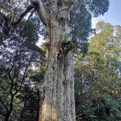 投稿日:2020年1月3日 写真