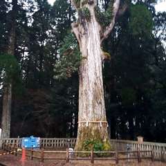 投稿日:2020年12月30日 写真