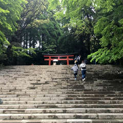 投稿日:2018年4月15日 写真