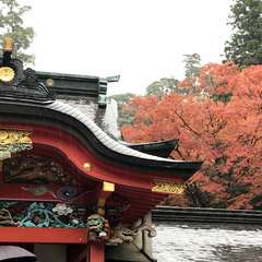 投稿日:2017年11月29日 写真