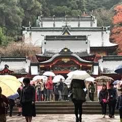投稿日:2017年11月29日 写真