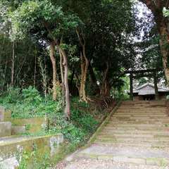 南さつま市金峰高橋 玉手神社(投稿日:2021年9月16日) 写真