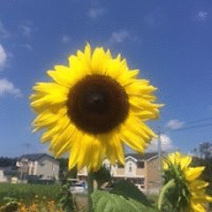 いーまん2019 会員画像