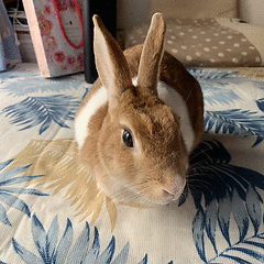 会員画像