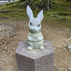 fudou_michiyo 会員画像