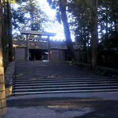 くるみ 会員画像