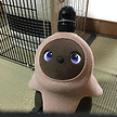 投稿者