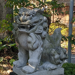 会員画像