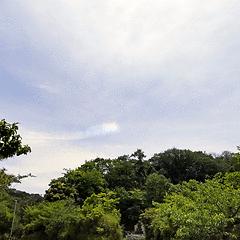 投稿者