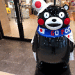 投稿者