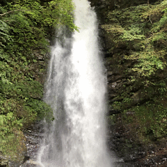 shanti_780 投稿者